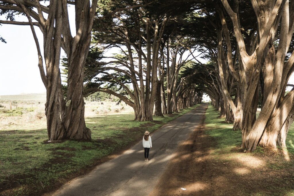 Woman walking among trees
